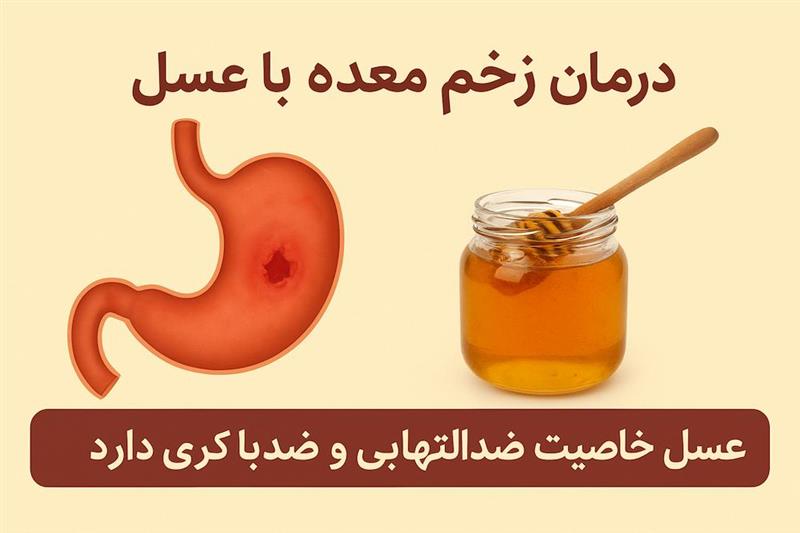 چگونه عسل به التیام زخم معده کمک می‌کند؟